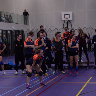 DSC_0176 (Medium).JPG