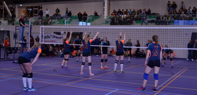 DSC_0230 (Medium).JPG