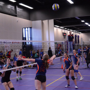 DSC_0200 (Medium).JPG