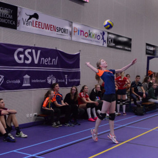 DSC_0248 (Medium).JPG