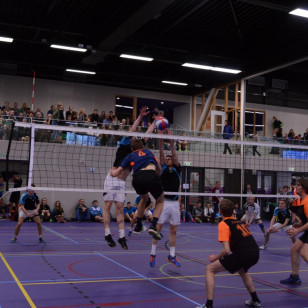 DSC_0310 (Medium).JPG