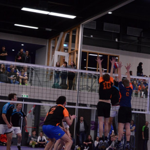 DSC_0345 (Medium).JPG