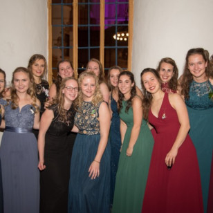 Dies GSV-195 (Klein).jpg