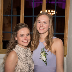 Dies GSV-216 (Klein).jpg